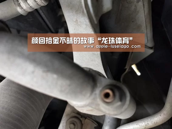 颜回拾金不昧的故事“龙珠体育”(图2) 龙珠体育