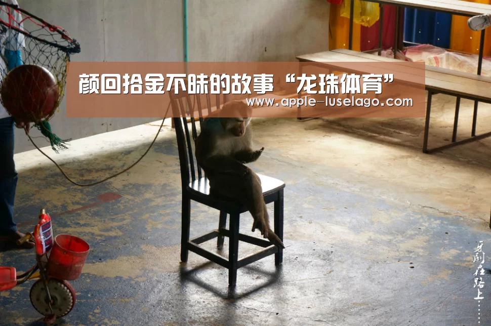 颜回拾金不昧的故事“龙珠体育”(图1) 龙珠体育
