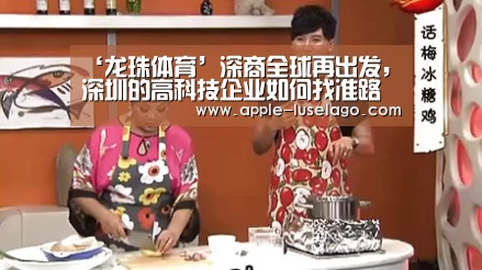 龙珠体育