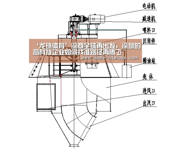 龙珠体育