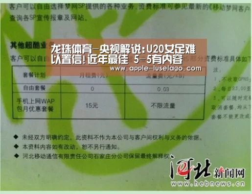 龙珠体育