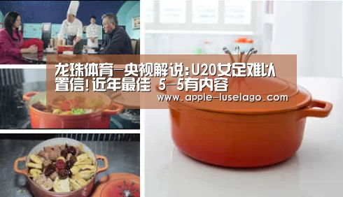 龙珠体育