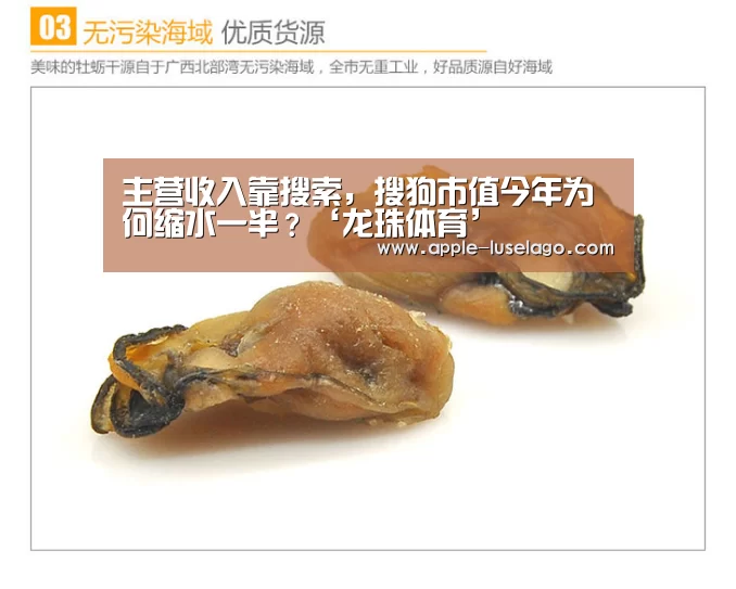龙珠体育