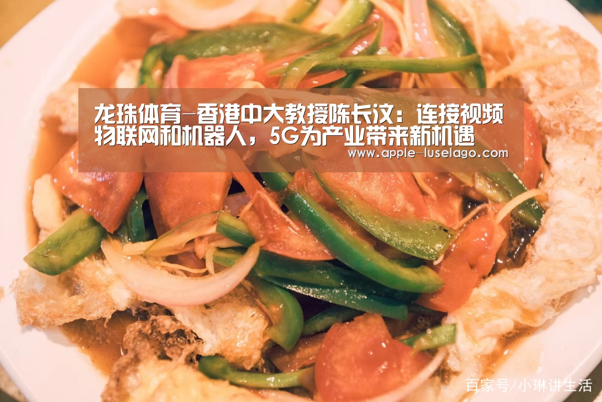龙珠体育