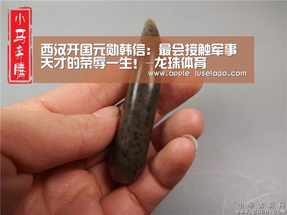 西汉开国元勋韩信:最会接触军事天才的荣辱一生!-龙珠体育(图3) 龙珠体育