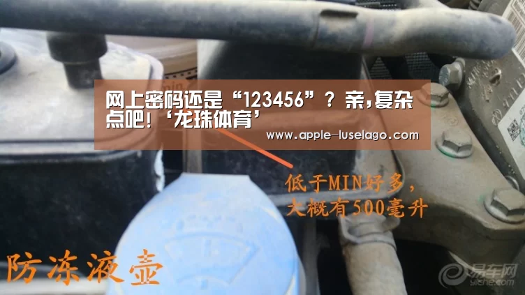 龙珠体育