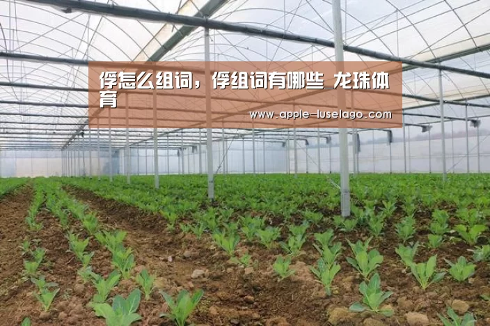 俘怎么组词，俘组词有哪些_龙珠体育
