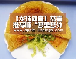 龙珠体育