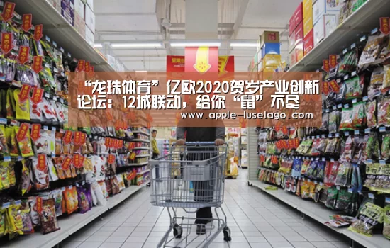龙珠体育
