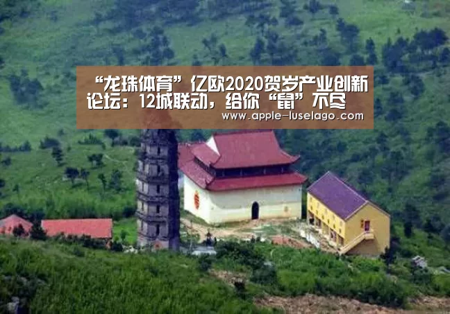龙珠体育