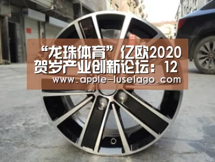 龙珠体育