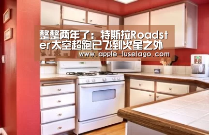 龙珠体育