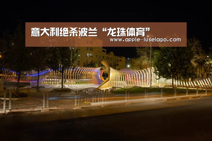 龙珠体育
