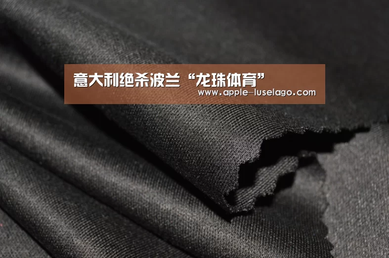 龙珠体育