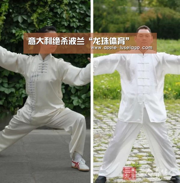 龙珠体育