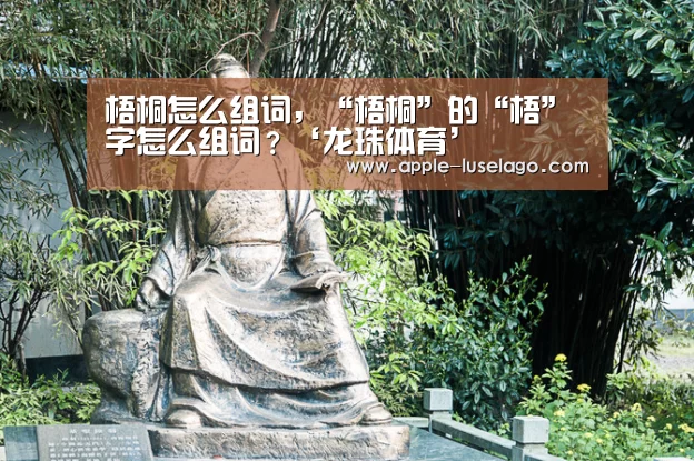 龙珠体育