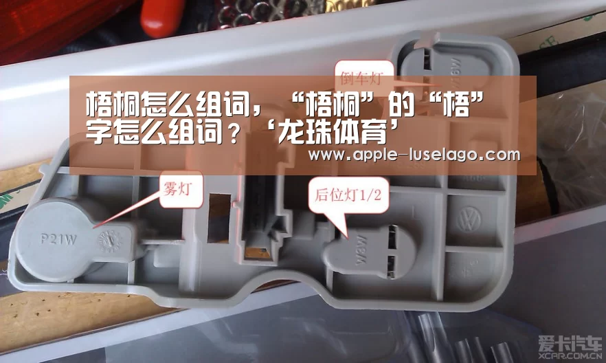 梧桐怎么组词,“梧桐”的“梧”字怎么组词?‘龙珠体育’