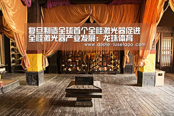 龙珠体育